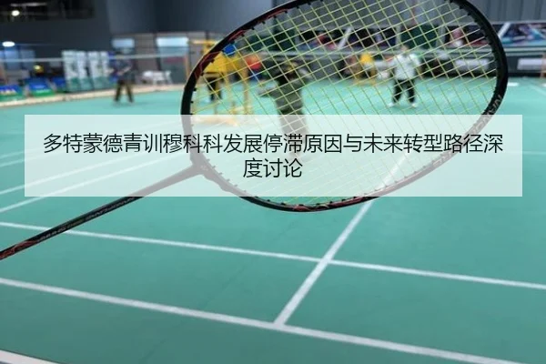 多特蒙德青训穆科科发展停滞原因与未来转型路径深度讨论
