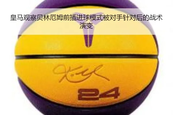 img_1782374737466_903_1_813.jpg