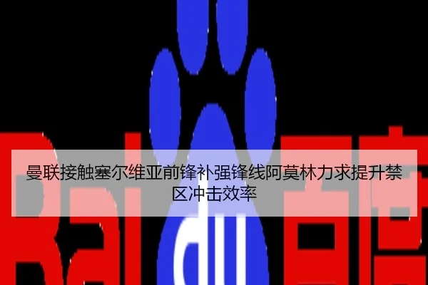 曼联接触塞尔维亚前锋补强锋线阿莫林力求提升禁区冲击效率
